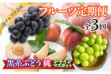 ★先行予約　おいしいくだもの3回定期便〈くだもの　フルーツ　桃　巨峰　黒系ぶどう　シャインマスカット　新鮮　農家直送　産地直送　人気　山梨県　南アルプス市　〉 ALPAJ056　