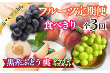 ★先行予約【食べきり】おいしいくだもの3回定期便〈くだもの　フルーツ　桃　巨峰　黒系ぶどう　シャインマスカット　新鮮　農家直送　産地直送　人気　山梨県　南アルプス市　〉ALPAJ057