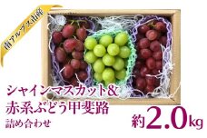 【先行予約　2025年度　発送】シャインマスカット＆赤系ぶどう甲斐路詰め合わせ　2.0kg相当［くだもの　果物　新鮮　シャイン　葡萄　ぶどう　かいじ 赤系ぶどう　美味しい　農家直送　産地直送　ギフト　山梨　南アルプス市］ ALPAJ060