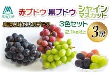 赤ブドウ・シャインマスカット・黒ブドウの三色セット ALPFG004