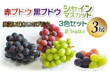 赤ブドウ・シャインマスカット・黒ブドウの三色セット ALPFG004