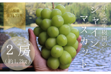 【令和7年発送・先行予約】南アルプス市産シャインマスカット(2房・約1.2kg)真心で育てる大地の宝石！ ALPDX005