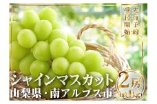 【2026年発送先行予約】山梨県産 シャインマスカット2房(1㎏以上) ALPAI027