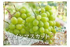 【2026年発送先行予約】大容量山梨県産 シャインマスカット2.5㎏以上(4～6房) ALPAI025