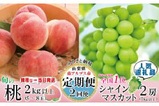 【2026年発送先行予約】山梨県産 定期便2回送り　南アルプスの果物セット ALPAI032