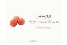 ＜2026年発送先行予約＞【すもも・サマーエンジェル】一度は食べたい！栽培者１番人気！ 約24玉 ALPDS012