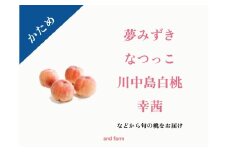 ＜2026年発送先行予約＞【かため桃】シャキッとかための桃好き必見！桃のリレーが楽しめる！約2kg （約5~6玉） ALPDS014