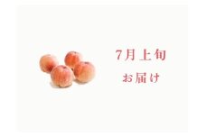 ＜2026年発送先行予約＞【7月上旬お届け】品種おまかせ！山梨県産の旬の桃 約4kg（約10〜12玉） ALPDS017