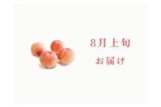＜2026年発送先行予約＞【8月上旬お届け】品種おまかせ！山梨県産の旬の桃 約2kg（約5〜6玉） ALPDS020