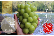 【令和8年発送・先行予約】ハウス栽培　南アルプス市産シャインマスカット(1房・600ｇ以上)真心で育てる大地の宝石！【早期出荷】 ALPDX008