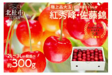 さくらんぼ 2L～3L 【先行予約】約300g 一段並 毎日農業記録賞 全国最優秀賞受賞 極上品大玉  佐藤錦 紅秀峰 やまなし GAP 認証 フルーツ ※2025年6月中旬以降順次発送 岩原果樹園 山梨県 北杜市 送料無料