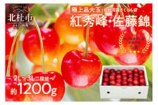 さくらんぼ 2L～3L 【先行予約】約1200g 二段並 毎日農業記録賞 全国最優秀賞受賞 極上品大玉  佐藤錦 紅秀峰 やまなし GAP 認証 フルーツ ※2025年6月中旬以降順次発送 岩原果樹園 山梨県 北杜市 送料無料