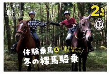 体験乗馬と冬の裸馬騎乗 ペアチケット（11～3月実施）　乗馬体験 チケット ペア ペアチケット 乗馬 裸馬 自然 初心者も安心 11月～3月実施 体験 馬 騎乗
