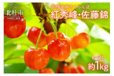 【2025年先行予約】大粒　さくらんぼ 1000g　さくらんぼ 佐藤錦 紅秀峰 期間限定 1000g L～2L 大粒 大玉 果物 くだもの フルーツ 夏果実 サクランボ チェリー 桜桃 高級  山梨県産 産地直送 中嶋園