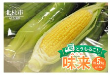 【2025年先行予約】北杜市産とうもろこし『味来』(みらい) 朝採り直送約5㎏セット(約14本） とうもろこし コーン 朝採り ミラクルスイートコーン 北杜市産 味来 14本 約5kg セット 期間限定