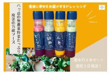 フェリチタドレッシング4本セット  ドレッシング 200ml 4本 セット 有機 野菜 調味料 人参 ビーツ 胡麻 オリエンタル 万能 フェリチタ サラダ 万能調味料