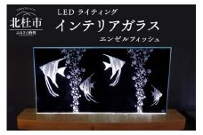ＬＥＤライティング　インテリアガラス「エンゼルフィッシュ」