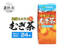 健康ミネラルむぎ茶　250ml　24本　伊藤園　紙パック