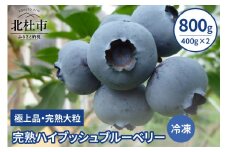 【2025年先行予約】】完熟ハイブッシュブルーベリー(冷凍)800g(400g×2) ブルーベリー 冷凍 期間限定 2025年 先行予約 ハイブッシュブルーベリー 800g 400g×2 完熟 大粒 甘い 人気 極上品 八ヶ岳南麓