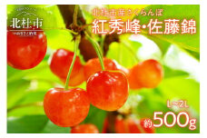 【2025年先行予約】大粒　さくらんぼ　500g さくらんぼ 佐藤錦 紅秀峰 期間限定 500g L～2L 大粒 大玉 果物 くだもの フルーツ 夏果実 サクランボ チェリー 桜桃 高級 山梨県産 産地直送 中嶋園
