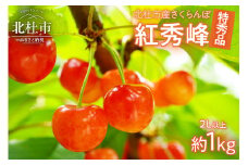 【2025年先行予約】さくらんぼ 1000g（特秀品・2L 以上）　さくらんぼ 佐藤錦 紅秀峰 期間限定 1000g 特秀品 2L以上 大玉 果物 くだもの フルーツ 夏果実 サクランボ チェリー 桜桃 高級 山梨県産 産地直送 中嶋園