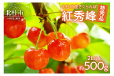【2025年先行予約】さくらんぼ500g（特秀品・2L 以上）　さくらんぼ 佐藤錦 紅秀峰 期間限定 500g 特秀品 2L以上 大玉 果物 くだもの フルーツ 夏果実 サクランボ チェリー 桜桃 高級 山梨県産 産地直送 中嶋園