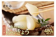 食べきりサイズ　色白美人らっきょう　国産無添加　480g