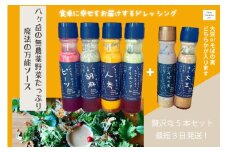 フェリチタドレッシング5本セット  ドレッシング 200m 5本 セット 有機 野菜 調味料 人参 ビーツ 胡麻 オリエンタル 大豆 そばの実 万能 フェリチタ