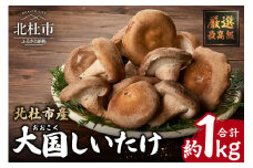 【期間限定】『大国しいたけ』菌床しいたけ　1kg しいたけ 1kg 大国しいたけ 菌床しいたけ 期間限定 厳選 高級 椎茸 きのこ 肉厚 ジューシー 新鮮 山梨県産 北杜市産