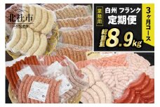 【定期便】白州フランク業務用詰め合わせ定期便　総重量8.9kg　３カ月連続　冷凍保存可 【3ヶ月定期便】 ウィンナー ソーセージ 詰め合わせ 総重量8.9kg 全12種類 業務用 シポラタウインナー チョリソー 粗挽き バーベキュー キャンプ パーティー セット 手作り 食べ比べ オールポーク 豚肉100％ 天然腸 冷凍保存可 山梨県 北杜市 白州