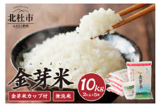 【令和6年度新米先行予約】金芽米特別栽培米農林48号2kg×5（10kg） 令和6年度新米 先行予約 米 令和6年度米 無洗米 10kg 金芽米 農林48号 特別栽培米 お米 ごはん 国産 ブランド米 健康食品 山梨県 北杜市産