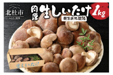 贈答用 生しいたけ(1kg)