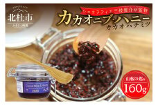 カカオニブ・ハニー（山桜の匙と） カカオニブ・ハニー 160g 山桜の匙 1本 セット カカオ 中米ベリー はちみつ 日本みつばち ショコラティエ三枝俊介 監修 カカオニブ ハニー 山桜 スプーン 手作り 山梨県 北杜市