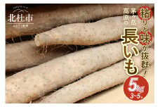 茅ヶ岳高原　粘りと味が抜群の長芋　５kg箱　長芋 長いも 5kg 約3～5本 ながいも 山芋 野菜 とろろ 磯辺揚げ 粘り 期間限定 明野町 茅ヶ岳高原 山梨県 北杜市