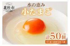 水の恵み小卵