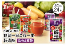 カゴメ 野菜一日これ一本 超濃縮 鉄分&葉酸 125ml 紙パック 24本入 （野菜ジュース）　 カゴメ 野菜一日これ一本 超濃縮 鉄分&葉酸 125ml 紙パック 24本入 野菜ジュース 濃縮ジュース 名水仕込 これ1本 無添加 野菜不足 350g 30品目 健康志向 飲料