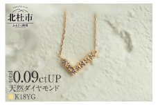 K18 天然ダイヤモンド　WING　ネックレス【K18YG】　ネックレス ダイヤ  YG  K18 天然ダイヤモンド WING 鑑別書付 保証書付 ジュエリーケース付 プレゼント