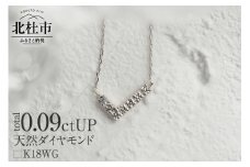 K18 天然ダイヤモンド　WING　ネックレス【K18WG】　ネックレス ダイヤ WG K18 天然ダイヤモンド WING 鑑別書付 保証書付 ジュエリーケース付 プレゼント