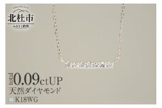 K18 天然ダイヤモンド　LADDER　ネックレス【K18WG】　ネックレス ダイヤ WG K18 天然ダイヤモンド LADDER 鑑別書付 保証書付 ジュエリーケース付 プレゼント
