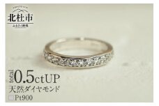 PT900 0.5ctUP 天然ダイヤモンド　ハーフエタニティリング リング レディース  Pt900 0.5ctUP 天然ダイヤモンド ハーフエタニティリング 鑑別書付 保証書付 ジュエリーケース付 プレゼント