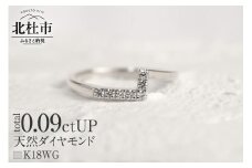 K18 天然ダイヤモンド　WING rest リング【K18WG】　リング 指輪 ダイヤ アクセサリー ジュエリー レディース ホワイトゴールド WG K18 天然ダイヤモンド 鑑別書付 保証書付 ジュエリーケース付 ギフト プレゼント 贈り物 