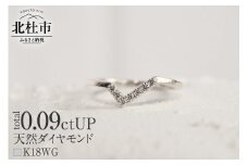 K18 天然ダイヤモンド　WING fly リング【K18WG】　リング 指輪 ダイヤ アクセサリー ジュエリー レディース ホワイトゴールド WG K18 天然ダイヤモンド 鑑別書付 保証書付 ジュエリーケース付 ギフト プレゼント 贈り物