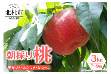 【2025年度先行予約】朝採り桃　3kg（夢みづき・あかつき・なつっこ）７～9個　山梨県産 桃 朝採り 3kg 7～9個 夢みづき あかつき なつっこ ミックス オリジナル 品種 堅い桃 北杜市 八ヶ岳