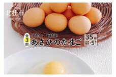 【定期便3か月】平飼い・有精卵　あさひのたまご35個+破卵保障5個入り
