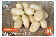 【数量限定品種】濃厚しっとり食感　ジャガイモ　シンシア　10kg 数量限定 ジャガイモ シンシア 濃厚 ほくほく ねっとり しっとり食感 10kg フランス原産