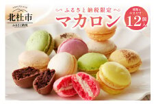 種類はおまかせ！ふるさと納税限定マカロン(12個入) お菓子 マカロン アソート 冷凍 手作り バニラ チョコレート 木苺 カシス ヘーゼルナッツ ココナッツチョコレート 抹茶 ピスタチオ パッションショコラ バジル オレンジ ロイヤルミルクティー エスプレッソ