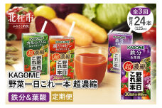 【3ヵ月定期便】カゴメ 野菜一日これ一本 超濃縮 鉄分&葉酸 125ml 紙パック 24本入 （野菜ジュース）