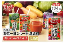 【3ヵ月定期便】カゴメ 野菜一日これ一本 超濃縮 高リコピン＆ビタミンA・E 125ml 紙パック 24本入 （野菜ジュース）