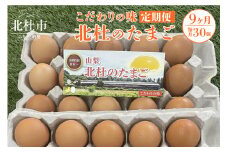 ☆彡9か月定期便☆彡　北杜のたまご（30個入）