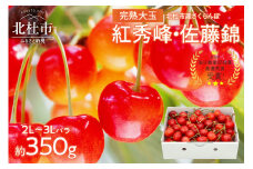 さくらんぼ 2L～3L 【先行予約】 約350g 毎日農業記録賞 全国最優秀賞 受賞 完熟大玉バラ 紅秀峰 佐藤錦 やまなしGAP認証 フルーツ グランプリ ※2025年6月中旬以降順次発送 岩原果樹園 山梨県 北杜市 送料無料